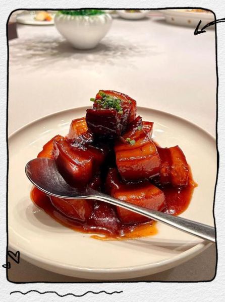 家常红烧肉怎么做_红烧肉不柴的秘诀