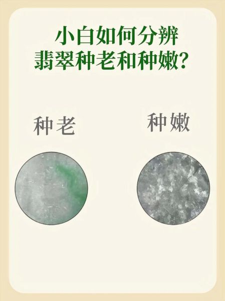 嫩绿是什么颜色_嫩绿和浅绿的区别