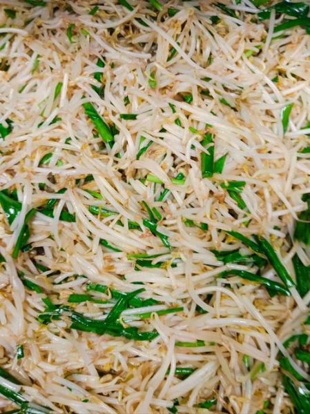 清炒黄豆芽怎么炒好吃_黄豆芽焯水还是不焯水