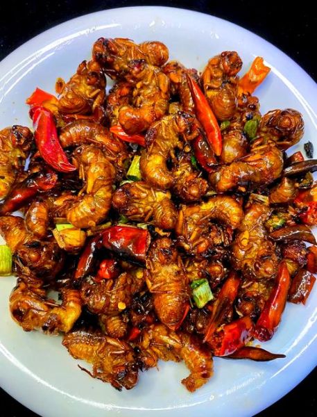 炸知了怎么做好吃_炸知了需要焯水吗