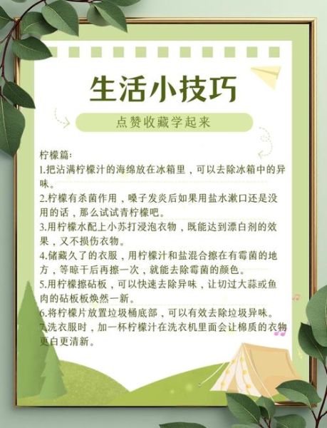 如何提升生活便利度_有哪些高效便捷的小技巧