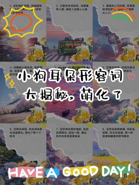 小狗怎么造词语_小狗造词语有哪些