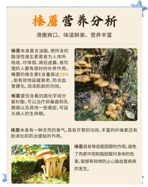 榛蘑怎么做好吃_榛蘑炖鸡的做法