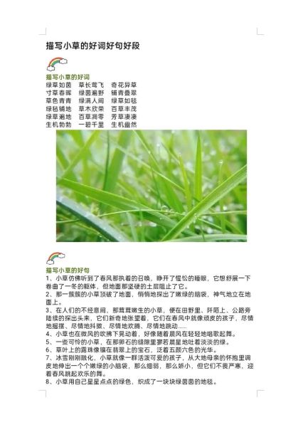 描写秋草的词语有哪些_如何运用秋草意象