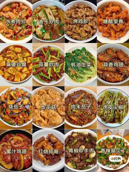 烧菜菜谱大全做法大全_新手如何快速上手