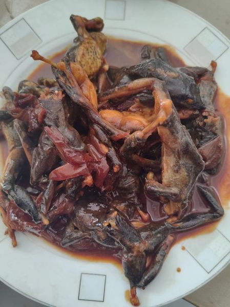 雪蛤的做法_雪蛤怎么炖才不腥