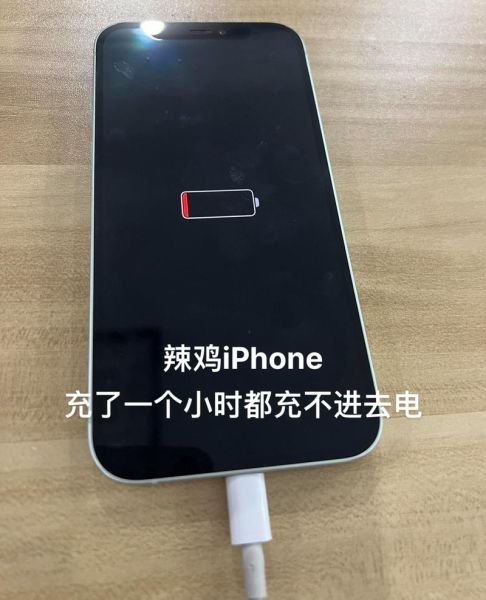 苹果手机充不进去电怎么办_苹果手机突然充不上电