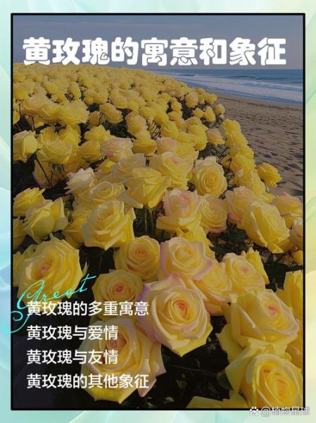 黄色代表什么含义_黄色有哪些象征意义