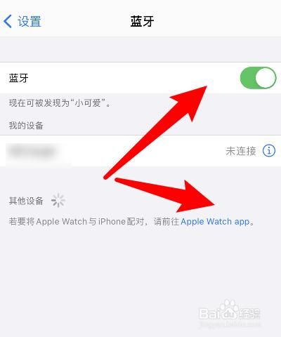 苹果手机蓝牙怎么改名字_苹果蓝牙名称修改步骤