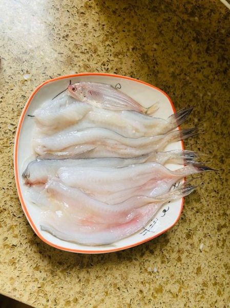 龙头鱼怎么做好吃_龙头鱼的家常做法