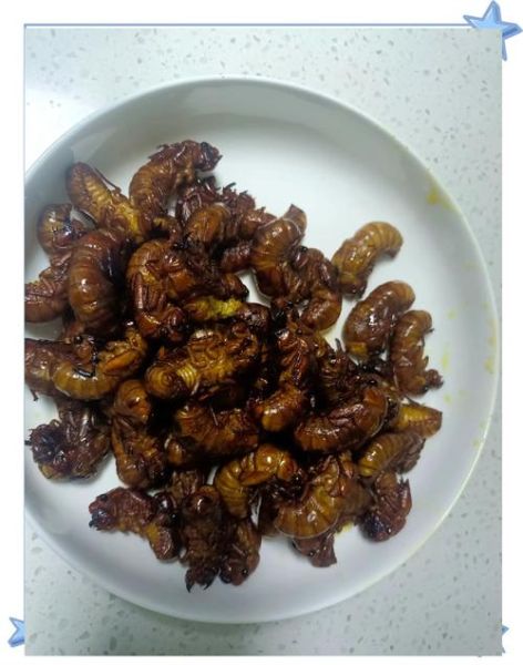 油炸知了猴怎么做_油炸知了猴需要焯水吗