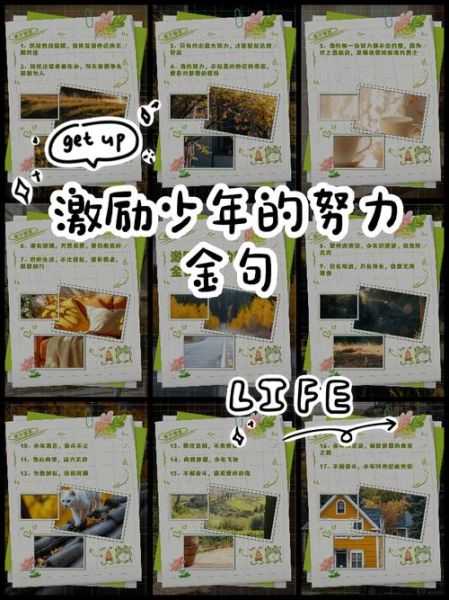 努力少年是什么意思_努力少年如何养成