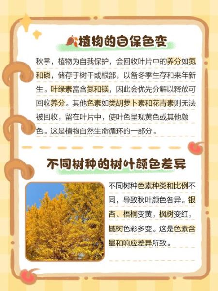 树叶为什么会变黄_秋天树叶变黄的原因