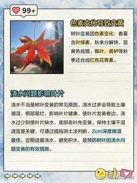 树叶为什么会变黄_秋天树叶变黄的原因