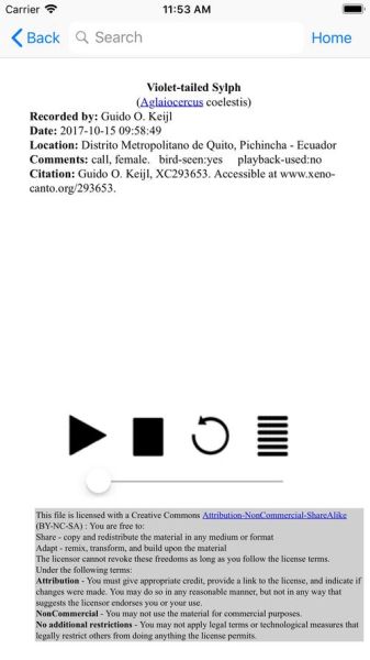 bird手机怎么样_bird手机还能用吗