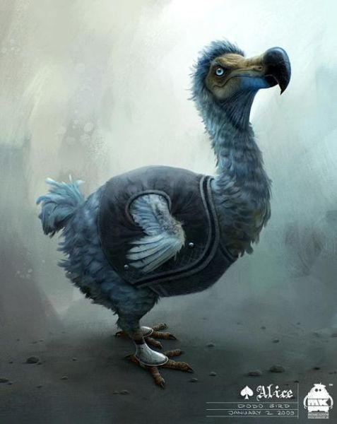 bird手机怎么样_bird手机还能用吗