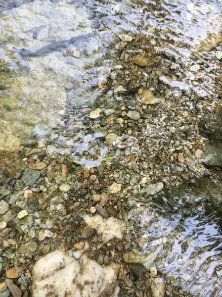 小溪怎么流_小溪流动发出什么声音