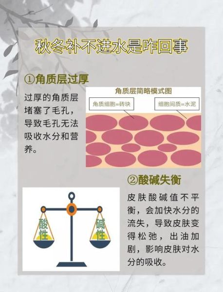 秋高气爽适合做什么_秋天干燥怎么补水