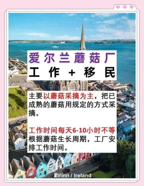 移民爱尔兰需要什么条件_爱尔兰移民最新政策2024