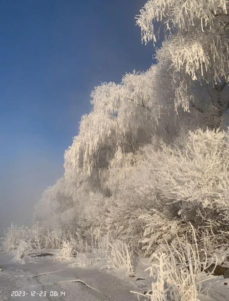 雾凇什么时候出现_雾凇最佳观赏地点