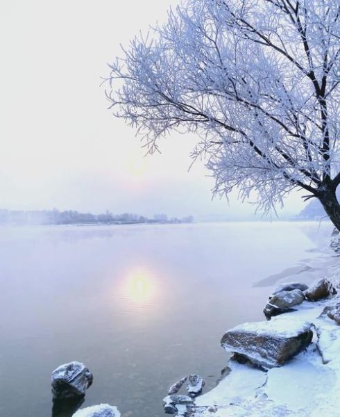 雾凇什么时候出现_雾凇最佳观赏地点