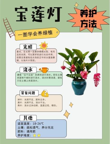 生机旺盛的植物有哪些_如何养护更旺盛