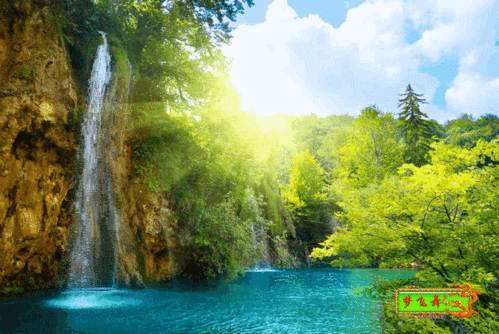 什么是绿色动态词语_绿色动态词语怎么用