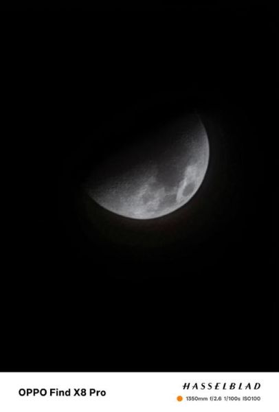 哪款手机拍照效果最好_2024年旗舰横评