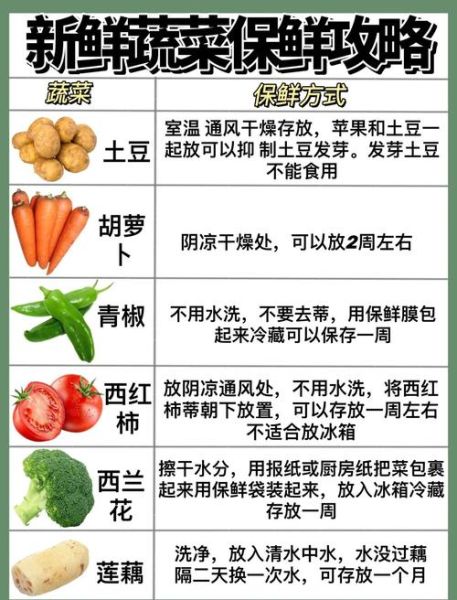 哪些蔬菜最营养_如何挑选新鲜蔬菜