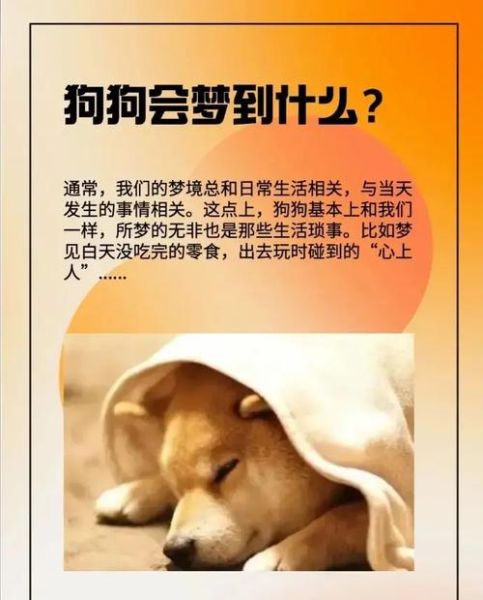 梦到一条大狗是什么意思_梦见大狗扑过来代表什么