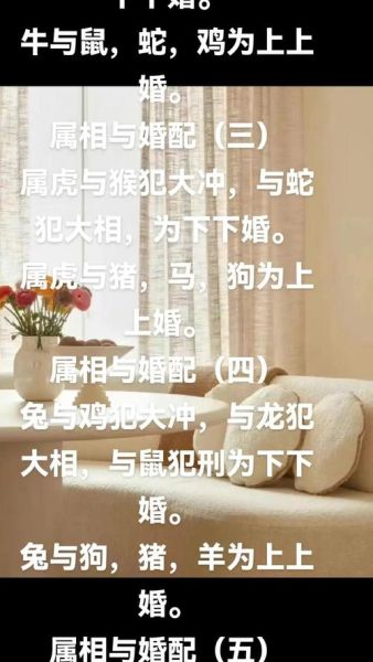 马和鼠相冲怎么化解_属马属鼠相克如何破解