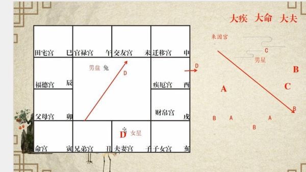 紫微斗数看配偶属相_配偶属相怎么算