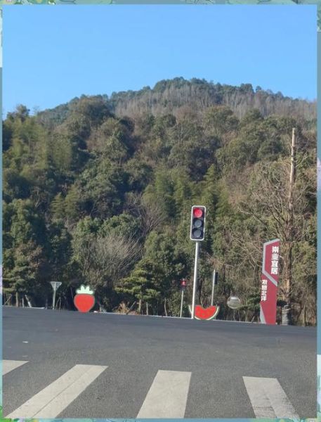 属猴人五月运势怎么样_属猴五月财运如何