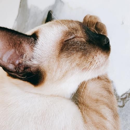 梦到吐口水是什么意思_吐口水梦境解析