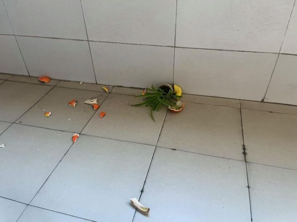 梦到花瓶是什么意思_花瓶碎了预示什么