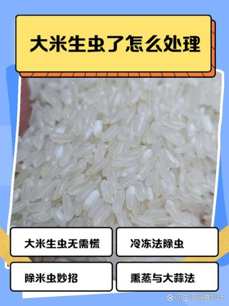 梦到大米里有虫子_是什么意思