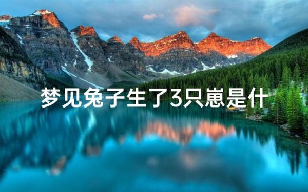 梦到兔是什么意思_梦见兔子是吉是凶