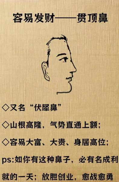 鼻梁有驼峰财运_驼峰鼻真的影响财富吗
