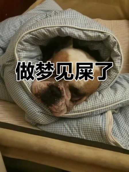 梦见吃屎是什么意思_如何化解尴尬梦境