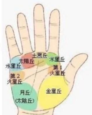 金星丘饱满有财运吗_手相财富怎么看