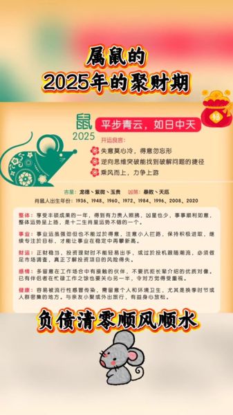 属鼠今年财运怎样_属鼠2024年如何提升财运