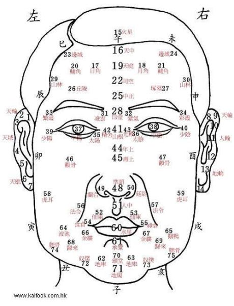 脑门高低影响运势吗_额头形状与命运关系