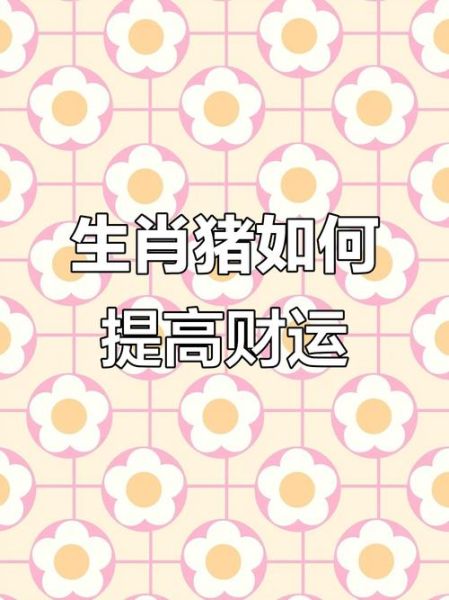 1971年属猪今年财运如何_2024年财运提升方法