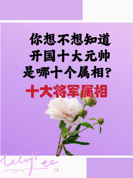 十大元帅属相分别是什么_十大元帅生肖对照表