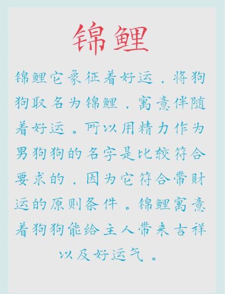 给宠物取什么名字招财_猫咪狗狗旺财名怎么选
