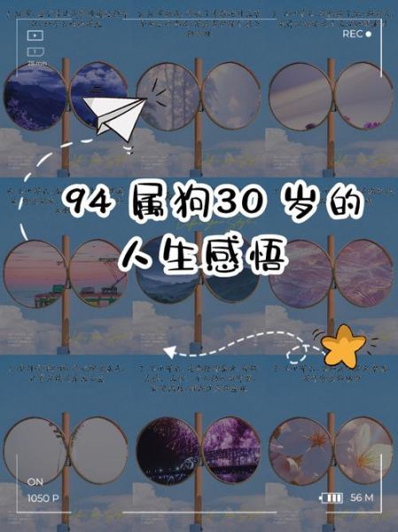 1994年属狗感情运势如何_94年属狗今年感情运怎么样