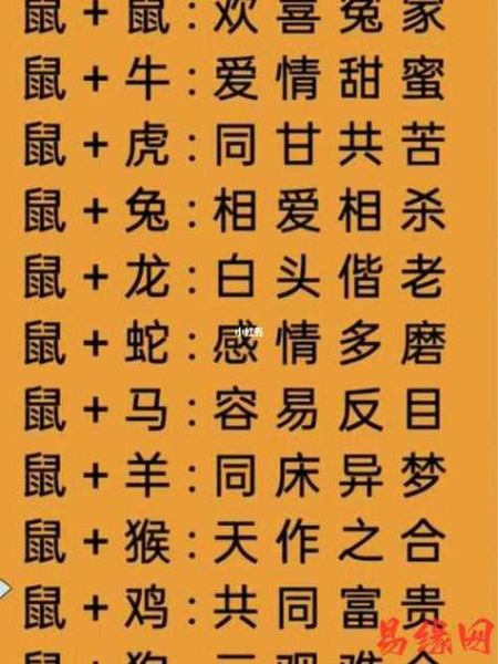 女生属鼠的最佳配偶属相_属鼠女和什么属相最配