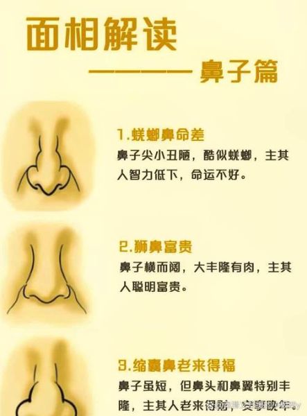 鼻孔大面相财运_鼻孔大的人财运真的好吗