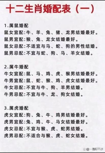 鼠与虎属相合不合_鼠虎配对婚姻好吗