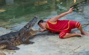 梦到被鳄鱼追赶_意味着什么